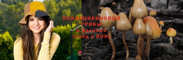 ПСИЛОЦИБИНОВЫЕ ГРИБЫ Горнозаводск