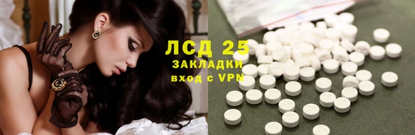 ПСИЛОЦИБИНОВЫЕ ГРИБЫ Горнозаводск