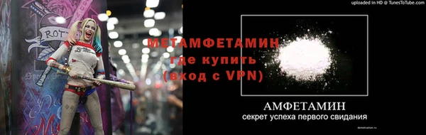 шишки Вяземский