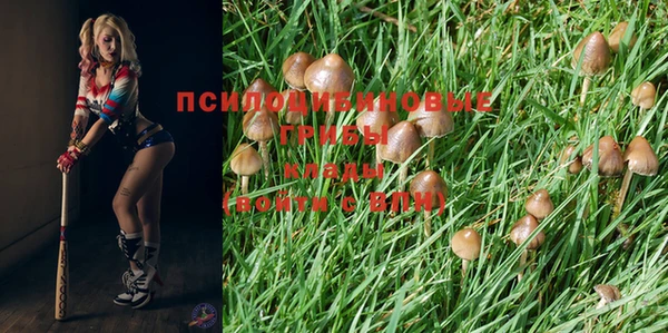 ПСИЛОЦИБИНОВЫЕ ГРИБЫ Горнозаводск