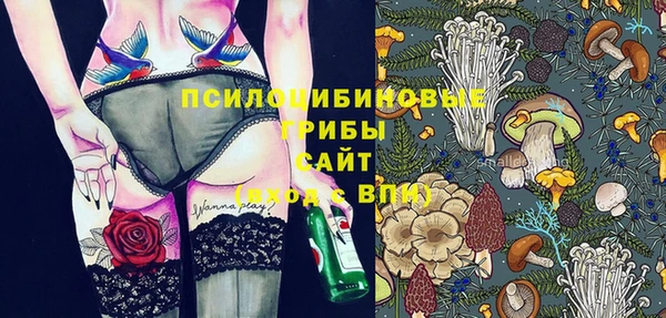 крисы Горно-Алтайск