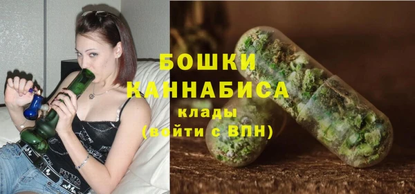 дмт Горняк