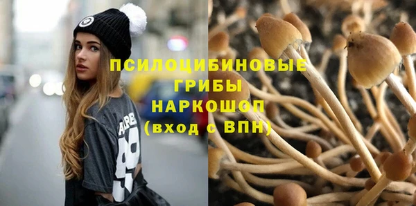 дмт Горняк