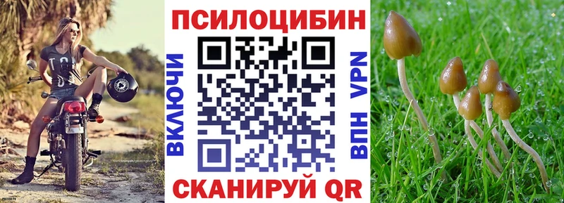 купить наркотик Иланский гидра ONION Галлюциногенные грибы Psilocybine cubensis